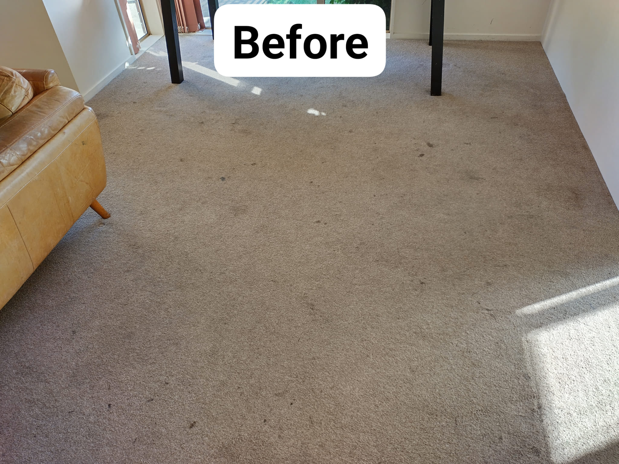 A soiled and stained carpet before cleaning